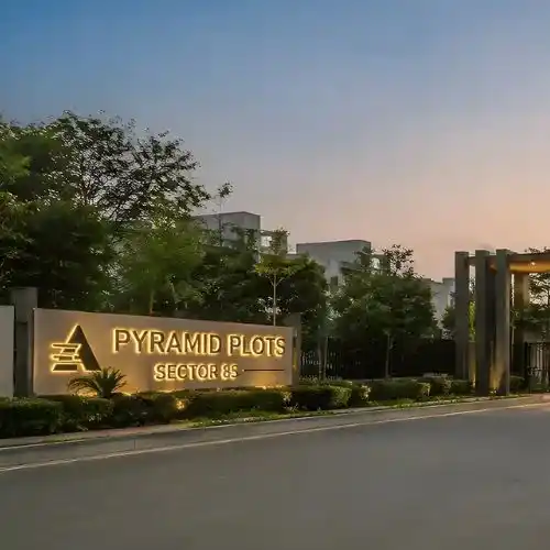 Pyramid Plots